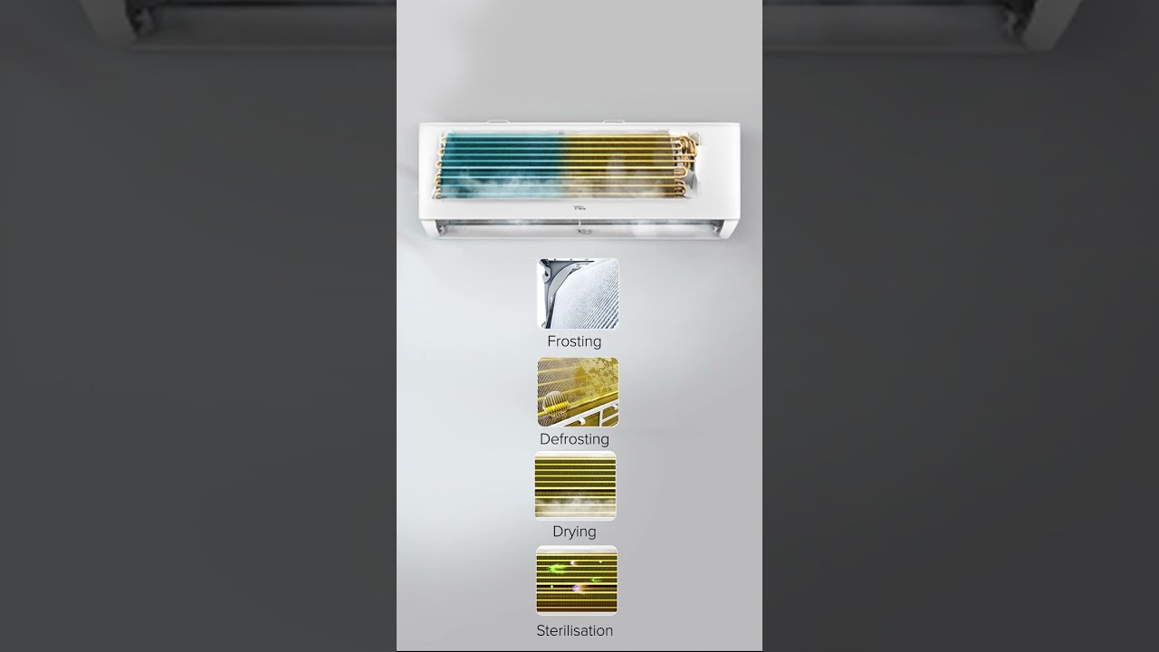 4 Step Auto Clean With TCL Shorts