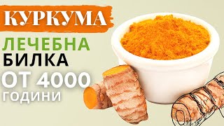 КУРКУМА ЛЕЧЕБНА БИЛКА И ПОЛЗИТЕ ЗА ЗДРАВЕТО🌿