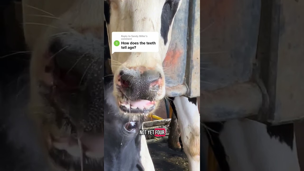 Checking age is important! 