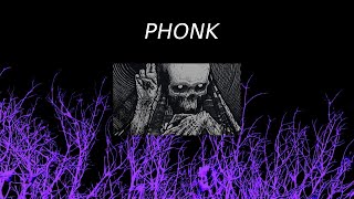 1 HOUR BRAZILIAN PHONK FOR GYM 🔥 I NEW BRAZILIAN PHONK TRACKS FROM TIK TOK☠️ I Бразил фанк 2024