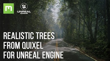 How to Use Megascans Trees in Unreal Engine 5 Tutorial