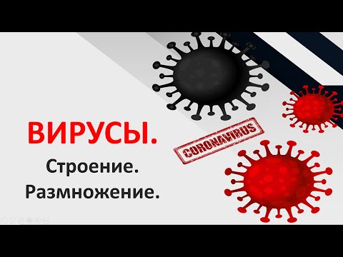 Вирусы.  Строение.  Размножение.