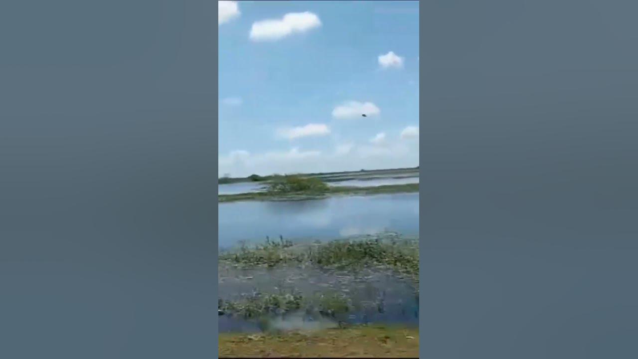 kolleru lake water minivlog Eluru YouTube