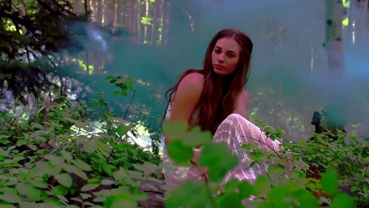 Roger Shah & Signum  Healesville Sanctuary (Roger Shah & Igor Logashov Intro Mix)