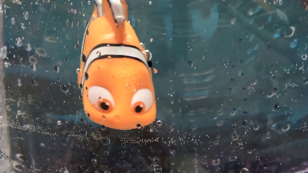 nemo robo fish