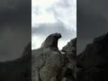 س دوستان هر کارکردم کانال قبلیم که رمزش ازیادم رفته برگردانم نشد ازشماخواهشن این حمایت کنیید س دوستان هر کارکردم کانال قبلیم که رمزش ازیادم رفته برگردانم نشد ازشماخواهشن این حمایت کنیید