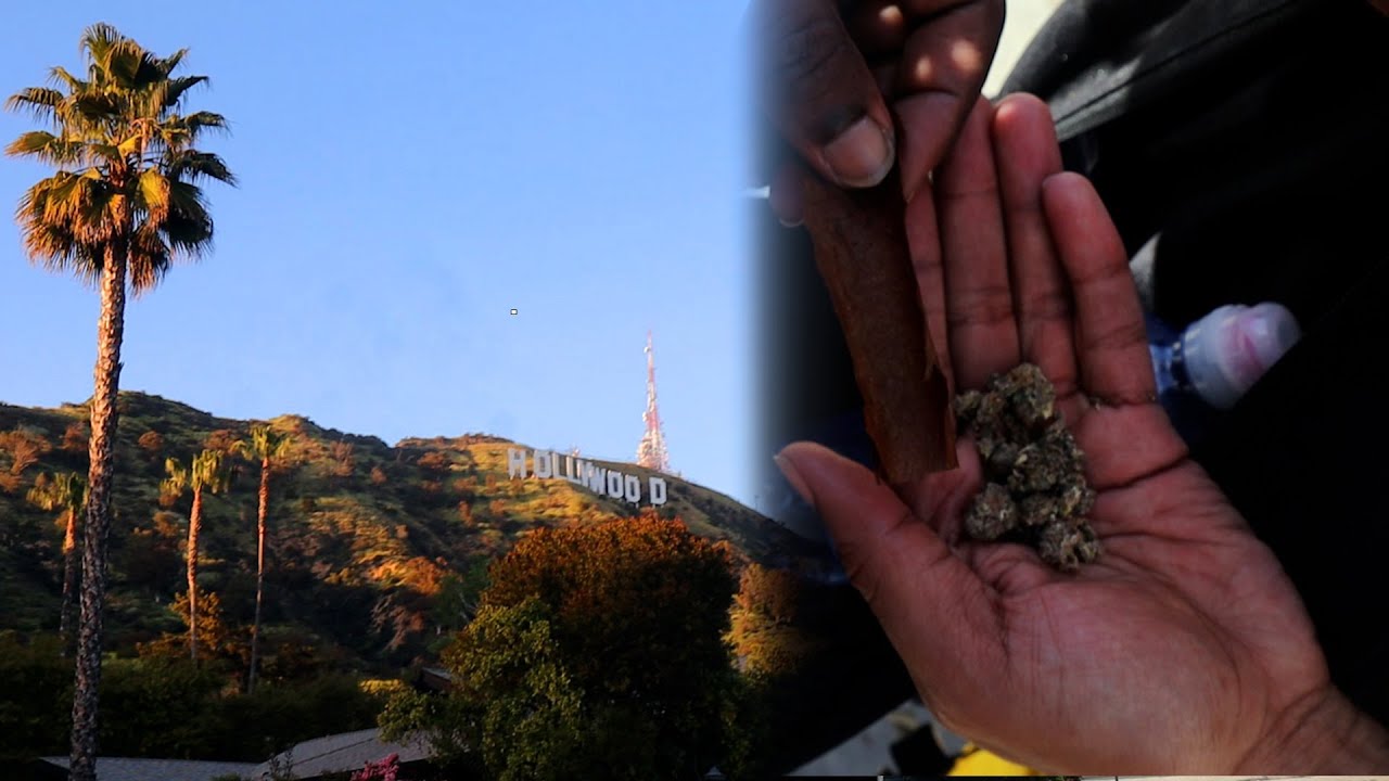 A DAY IN THE LIFE OF A STONER 🍃😮‍💨 - LA VLOG PART 2 ☀️🌴
