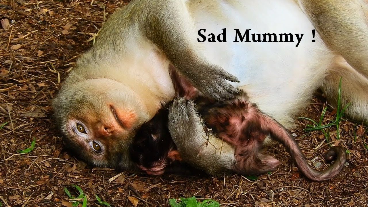tired of drama Oh God God, Lizzy Mom Tired Holding Newborn baby Gently