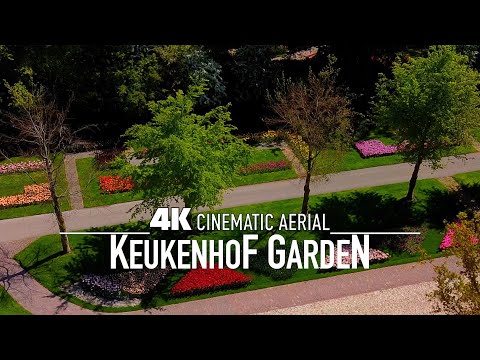 KEUKENHOF 2020 Drone