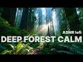 26 Minutes in a Redwood Forest | Deep Forest ASMR & Lofi for Focus