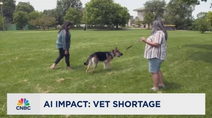 AI impact: How AI is helping in a vet shortage