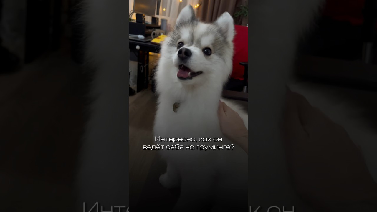 Экстремальная вредность в крови!🙈 