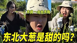 带南方小土豆去割大葱，她嘴馋竟然也要吃一口，差点成为被大葱单杀第一人【阳光姐妹淘】