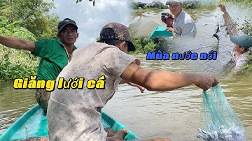 Mấy anh em mình giăng lưới cá mùa nước nổi thành quả quá bất ngờ cho ngày đi giăng đầu tiên.