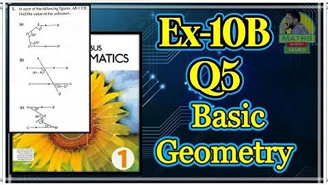 Q5 || Ex 10B || D1 || Basic Algebra || NSM 7th edition