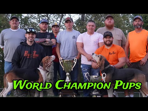 2x World Champion Gray's Rack Em Willy Pup hunt
