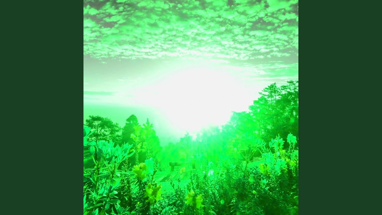 Contemporary Covering Down