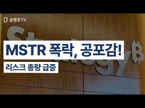 [투자] MSTR 폭락, 공포감! / 리스크 총량 급증 [공병호TV]