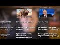 Медитация - 16. Россия как панголин