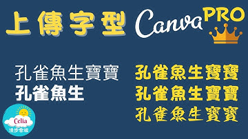 Canva Pro｜上傳字型
