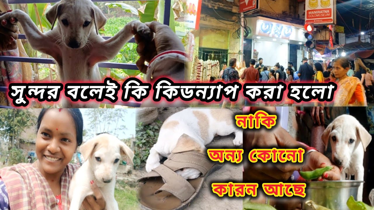 টাকার অনেক দরকার তাই কিডন্যাপ করা হলো সোস্যাল মিডিয়ায় অন ক্যামেরায় এক বস্তা টাকা দাবি করা হলো 