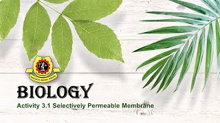 Form 4 (Activity 3.1)