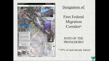 Using Science to Inform Policy and Mitigation of Anthropogenic Impacts on Long Distance Migrations