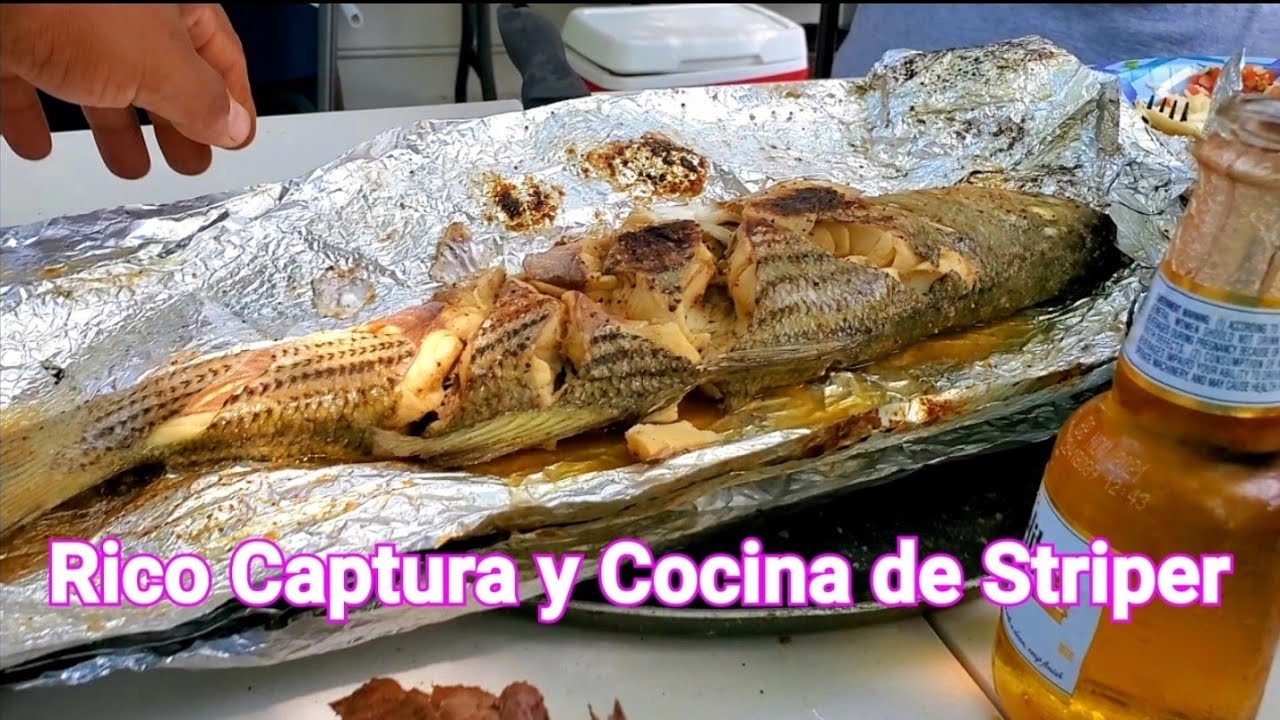 Captura y Cocina Rica Receta Para Stripers 