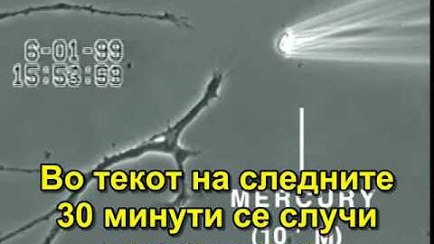 How Mercury Causes Brain Neuron Damage makedonski   Copy