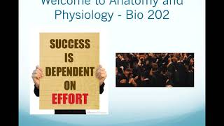NAU Bio 202 - How to be Successful in Anatomy Lab
