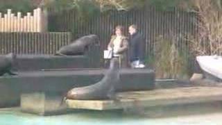 Blackpool zoo keeper for the day