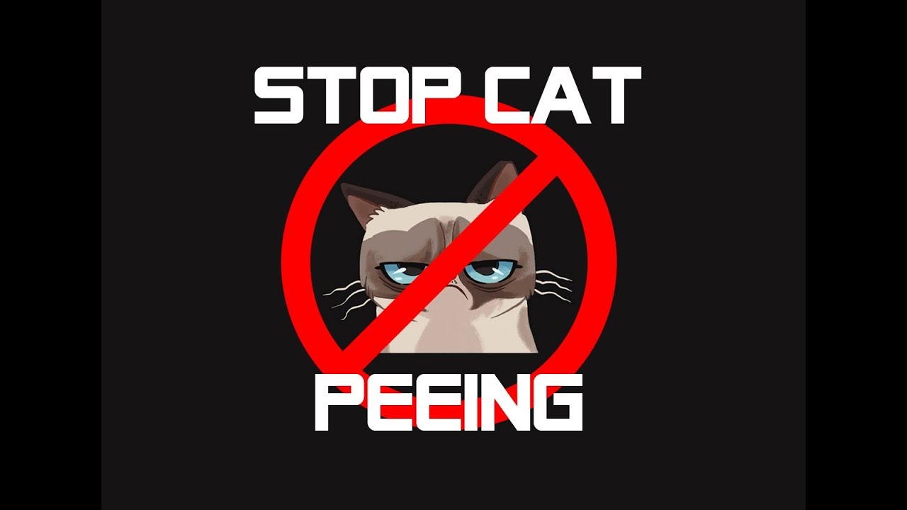 stop pissing to How