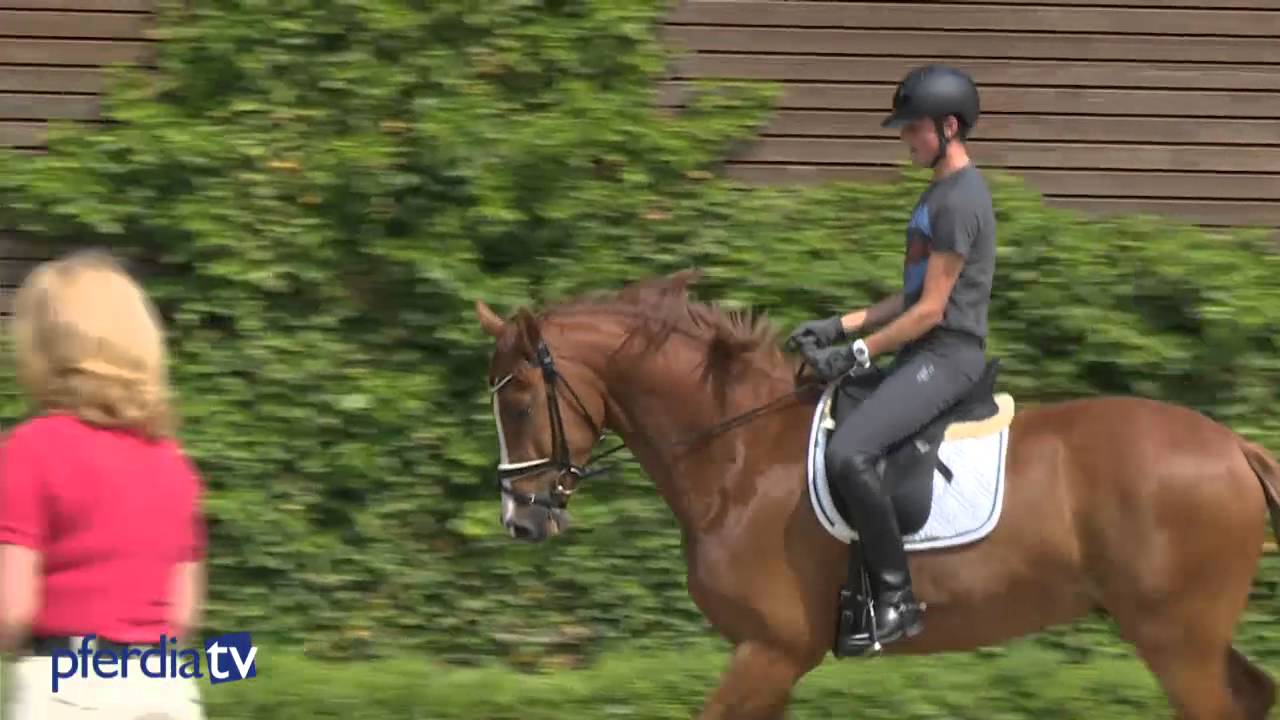 Längsbiegung mit jungen Pferden erarbeiten - darauf muss man achten!| Britta Schöffmann