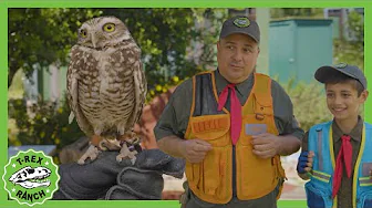 Not All Raptors Are Bad?! Meet the Friendly Dino | T-Rex Ranch Fun | T-Rex Ranch Adventure