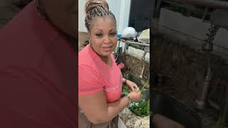 Let's cook dinner with Chef Ruby!! Let S Cook Dinner With Chef Ruby