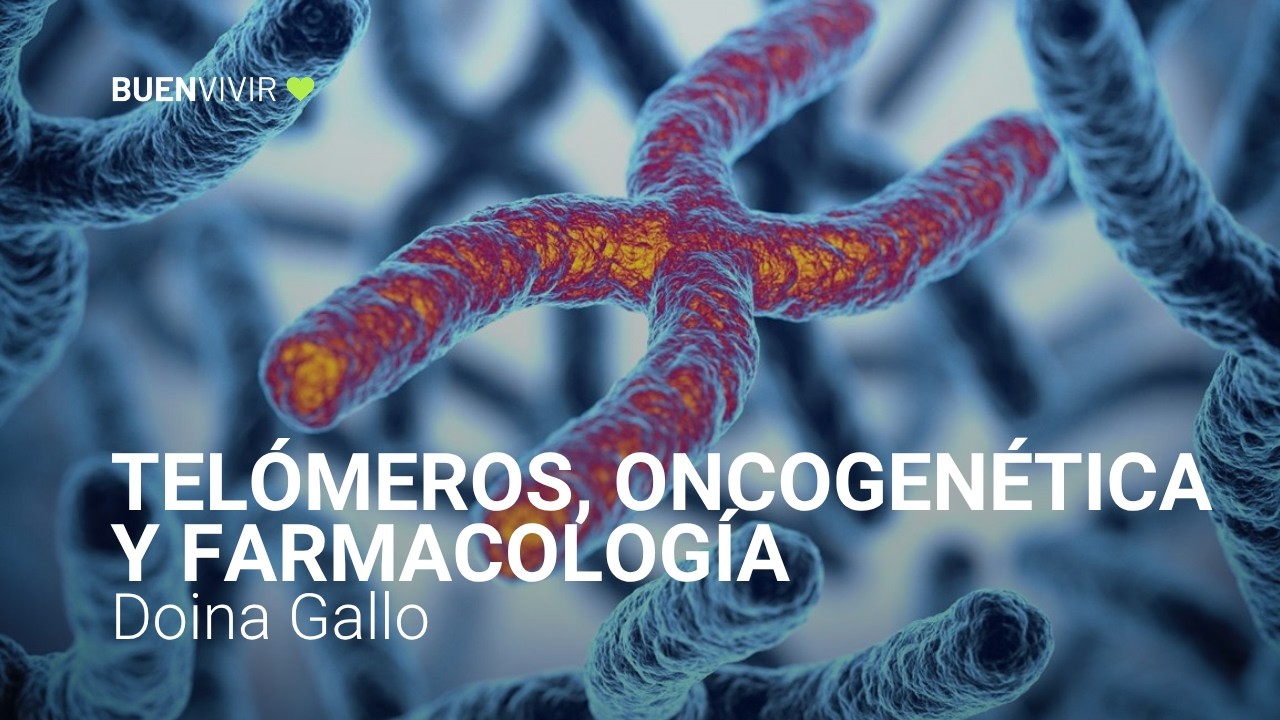 TELÓMEROS, ONCOGENÉTICA Y FARMACOLOGÍA - Doina Gallo - BUENVIVIR💚 30/04/26 Canal 4