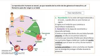 REPRODUCCIÓN Y HERENCIA