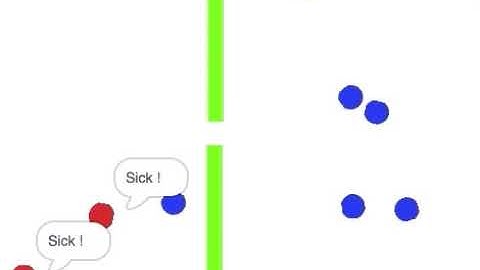 Pandemic simulation using scratch