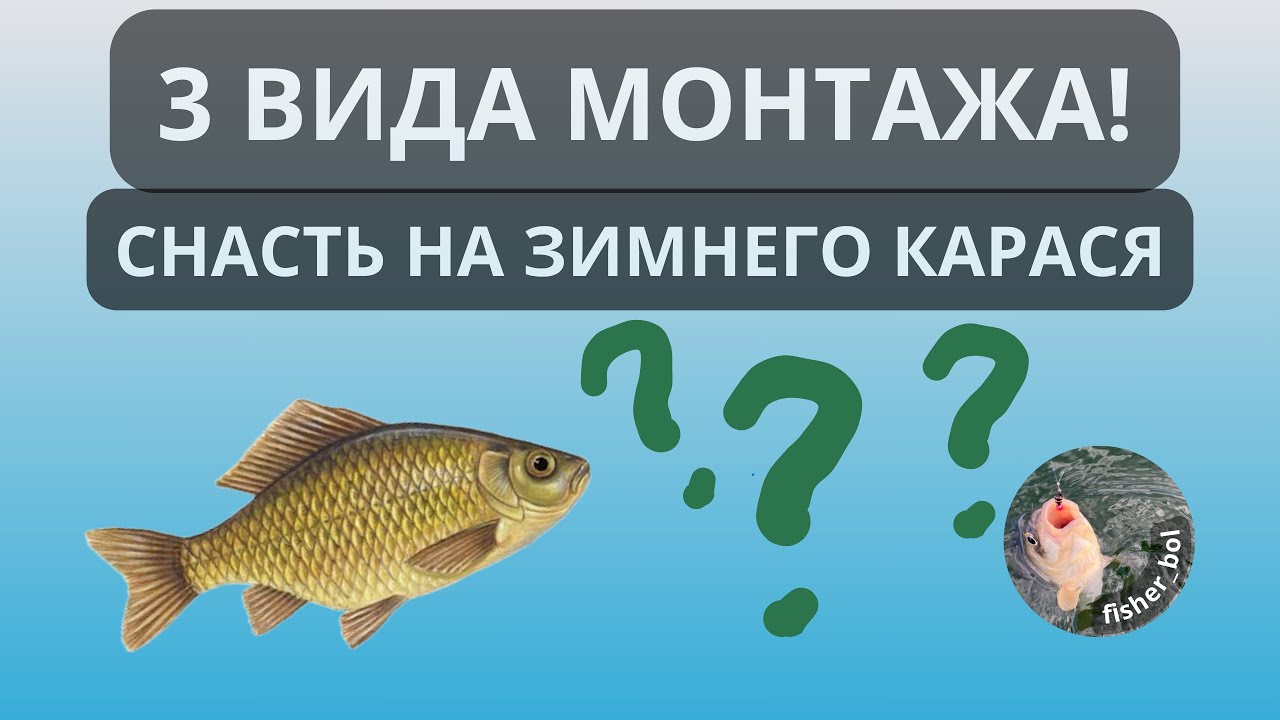 Проверенный монтаж на карася. Снасть на зимнего карася.