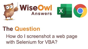Wise Owl Answers - How do I screenshot a web page with Selenium in VBA?