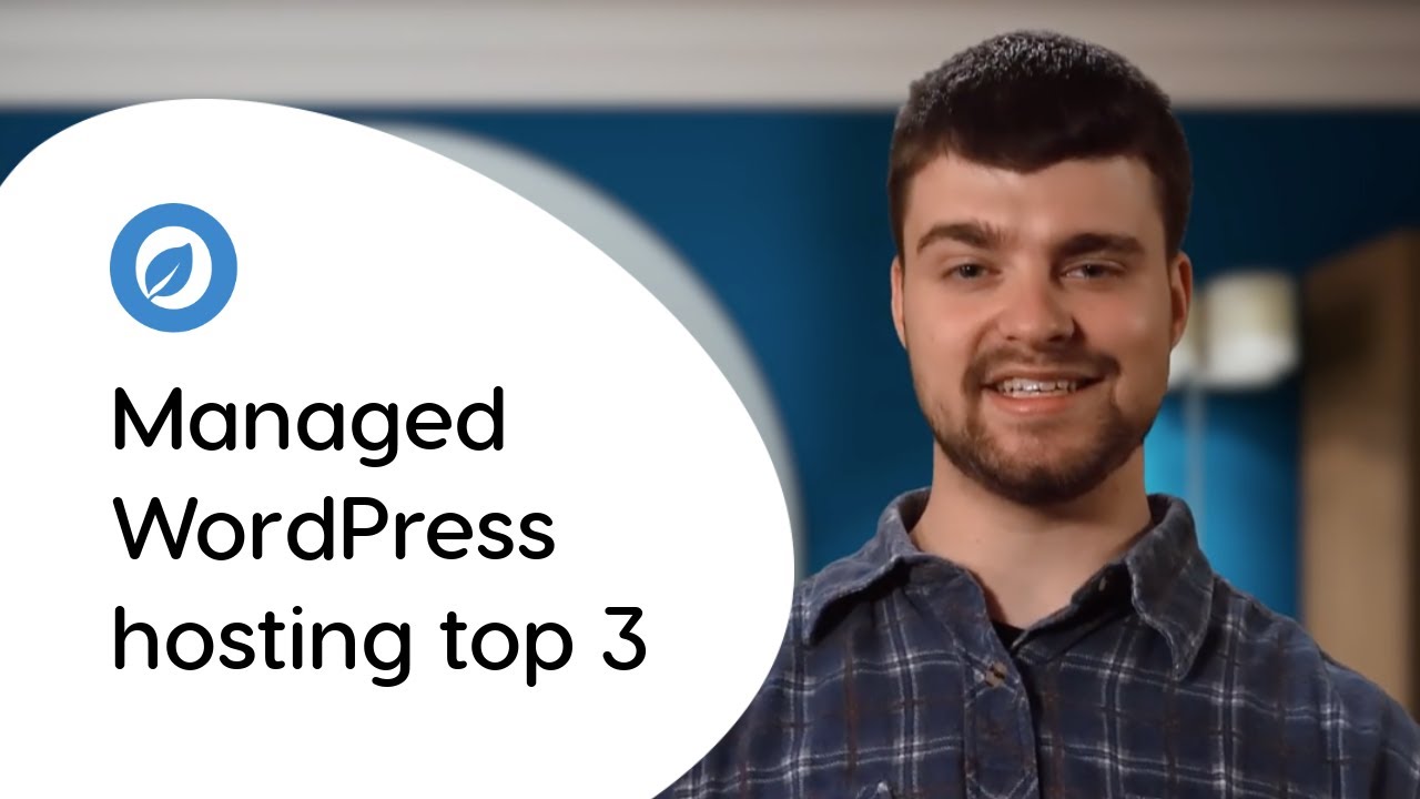 Top 3: Managed WordPress hosting providers - YouTube