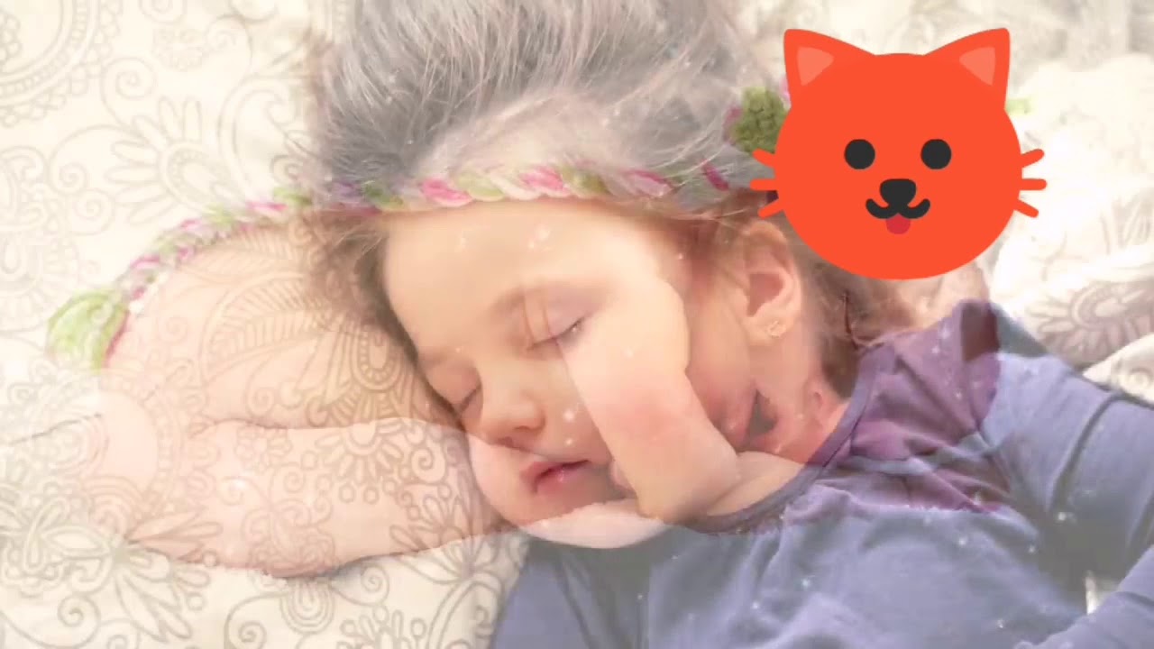 อัลกุรอ่านเพราะๆเปิดฟังก่อนนอน