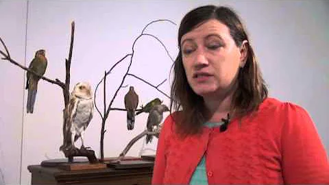 Christine Morrow Responding to the arts