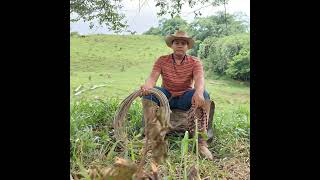 The Boy of Dreams - Exclusive Corrido (Official Audio)
