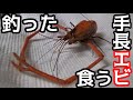 ＃２　釣った手長エビが超うまかった！！