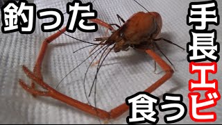 ＃２　釣った手長エビが超うまかった！！