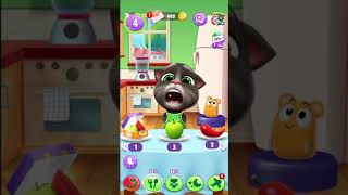 My Talking Tom 2 Third Day Level 3-5