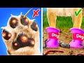 Keep Your Pets Safe! *Viral Gadgets and Hacks For Happy Cats and Dogs*