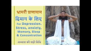 दिमाग के लिए - भ्रामरी प्राणायाम  - डिप्रेशन, तनाव, चिंता,मेमोरी, नींद, एकाग्रता