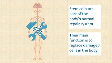 Stem cell treatment in MS - an introduction